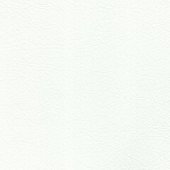 white paper background with rough texture