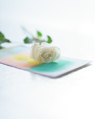 White rose resting on ink art 11