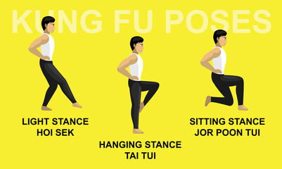Kung Fu Poses Hanging Stance Tai Tui Light Hoi Sek Sitting Jor Poon Tui Cartoon Vector Illustration