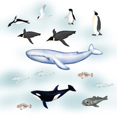Set of wildlife creatures of Antarctic Ocean 