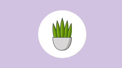 planta casera con maceta grande