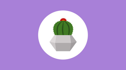 Cactus con maceta fondo lila
