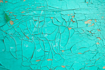 Cracks texture. Old paint is dry and cracked.