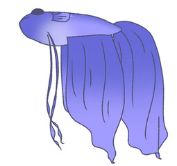 浮かんで休むベタ（青色）