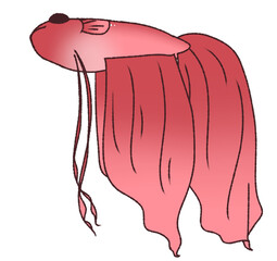 浮かんで休むベタ（赤色）