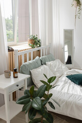 Ficus bed. Home interior. Scandinavian style . Bed with ficus. Home interior. Scandinavian style