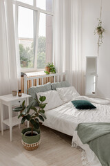 Ficus bed. Home interior. Scandinavian style .Кровать с фикусом . Домашний интерьер. Скандинавский стиль  