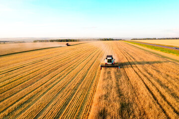 Aerial view of a combine harvester working in a wheat field. Seasonal wheat harvesting....