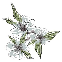Bouquet of flowers. Collection of vector sketches and line art illustrations. Isolated botanical elements.