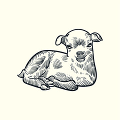Vintage hand drawn sketch puppy goat