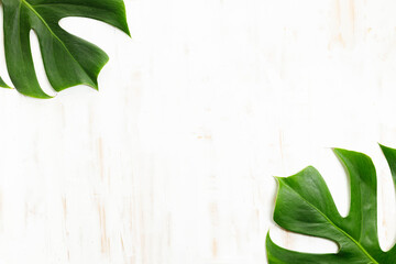 Tropical green leaves on white wooden background.
