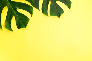 Fototapeta na wymiar Tropical green leaves on yellow color background.