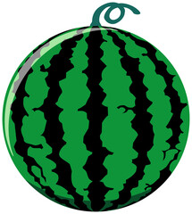 スイカのイラスト