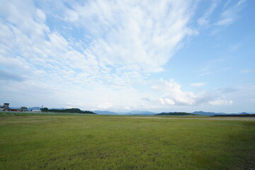 Obraz premium 空