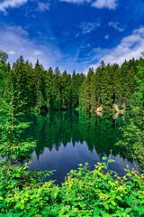 Schalker Teich im Harz