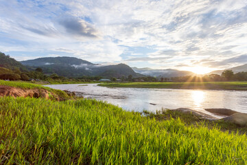 selective focus light green grass by the river mountain landscape sunset fog clouds after mountain rain clear sky river light green grass giving a cool, refreshing feeling in the background