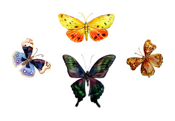 Set of hand painted watercolour butterflies. 4 elements isolated on white background for design.