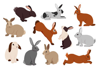 Cartoon hare. Cute bunny in different poses. Fluffy farm rabbits jumping and running. Funny pets sitting or lying. Activities of adorable domestic animals. Vector furry creatures set