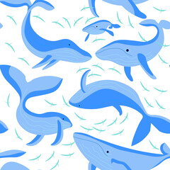 Seamless underwear pattern with blue whales on white background