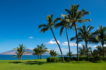 Fototapeta na wymiar Tropical beach scene. Sea view from summer beach with sky. Coastal landscape. Coconut palm trees.
