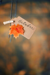autumn natural background. october time concept. orange maple leaf and paper tag, forest landscape. fall season  - obrazy, fototapety, plakaty