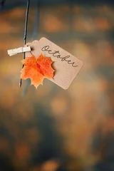 Fotobehang autumn natural background. october time concept. orange maple leaf and paper tag, forest landscape. fall season  © Ju_see
