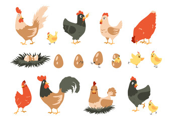 Cartoon chicken. Cute domestic farm animals. Hen incubates chicks in nest. Stages sequence of bird hatching from egg. Funny rooster walks around yard. Vector poultry activities set