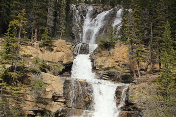 Obraz premium Beauty Of Tangle Falls, Jasper National Park, Alberta