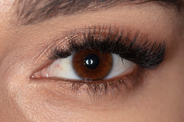 Fototapeta na wymiar Close-up human eye, macro photography of pupils