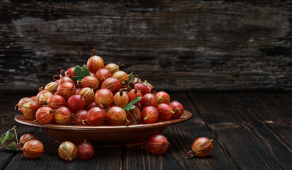 Gooseberries fresh harvest in a copper plate. A ripe red gooseberry crop is laid out on a rustic table in drops of water. Close-up with copy space