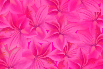 Seamless pattern with delicate pink lilies.