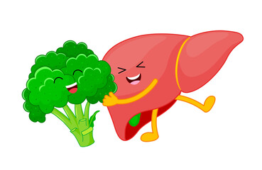 Human liver and broccoli cartoon characters. Healty food for liver concept. Vector illustration.