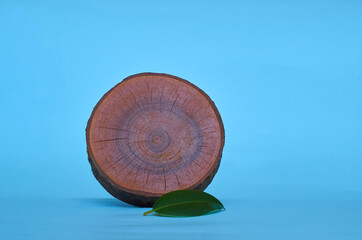 Round wooden stand for hot food and a green ficus leaf on a blue background.