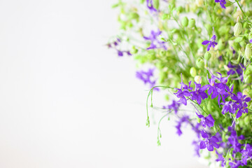 Beautiful solid background with a flower arrangement of wildflowers and fresh grass close-up. Copy space.