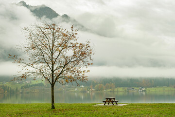 Moody autumn landscape with bare tree and lonely bench on mountain lake shore.