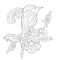 Contour linear illustration for coloring book. Beautiful tropical exotic bird,  anti stress picture. Line art design for adult or kids  in zentangle style and coloring page.