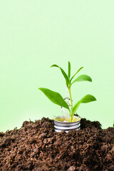Light bulb with green plant as a concept of eco energy. Creative idea of eco alternative energy.