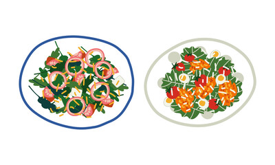 Salad with Mixed Greenery, Sliced Onion and Tomato Served on Plate Above View Vector Set