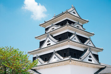 Fototapeta na wymiar Ozu castle in Ehime, Shikoku, Japan