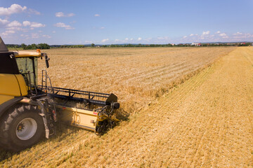 Obraz premium Aerial view of combine harvester harvesting large ripe wheat field. Agriculture from drone view.