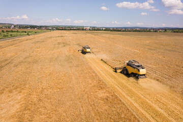 Obraz premium Aerial view of combine harvesters harvesting large yellow ripe wheat field.