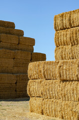Rectangular bales of dry hay against the blue sky. Storage of dr