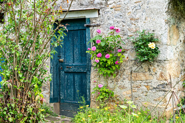 rustic old blue wooden door, covered in foliage