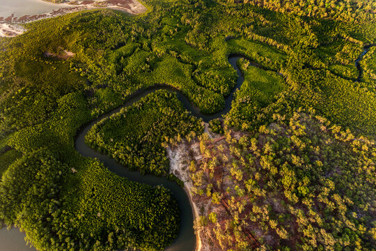 Remote wilderness northern Australia, watercourse and forest