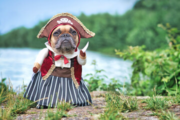 Obraz premium Funny French Bulldog dog dressed up with pirate bride costume with hat, hook arm and dress standing at waterfront