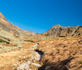 Upper part of Mlynicka dolina valley in autumn Vysoke Tatry mountains in Slovakia © honza28683