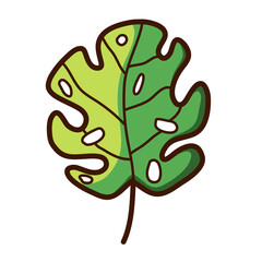 single tropic botanical plant leaf with holes vector illustration icon design template with doodle hand drawn fill color style