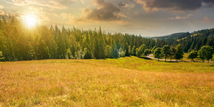 mountainous countryside panorama at sunset. trees on the meadow along the road. coniferous forest on the hills in evening light. bright sunny afternoon scenery with clouds on the sky in summertime