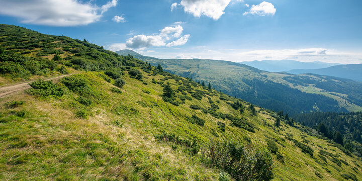 carpathian mountain landscape on a bright forenoon. beatiful scenery with green rolling hills beneath a fluffy clouds on a blue sky in summer. popular travel destination of chornohora ridge
