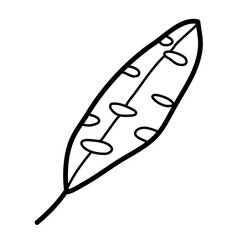 leaf tree with holes vector illustration icon design template with doodle hand drawn outline style